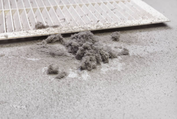Best HVAC Air Duct Cleaning  in Oakleaf Plantation, FL